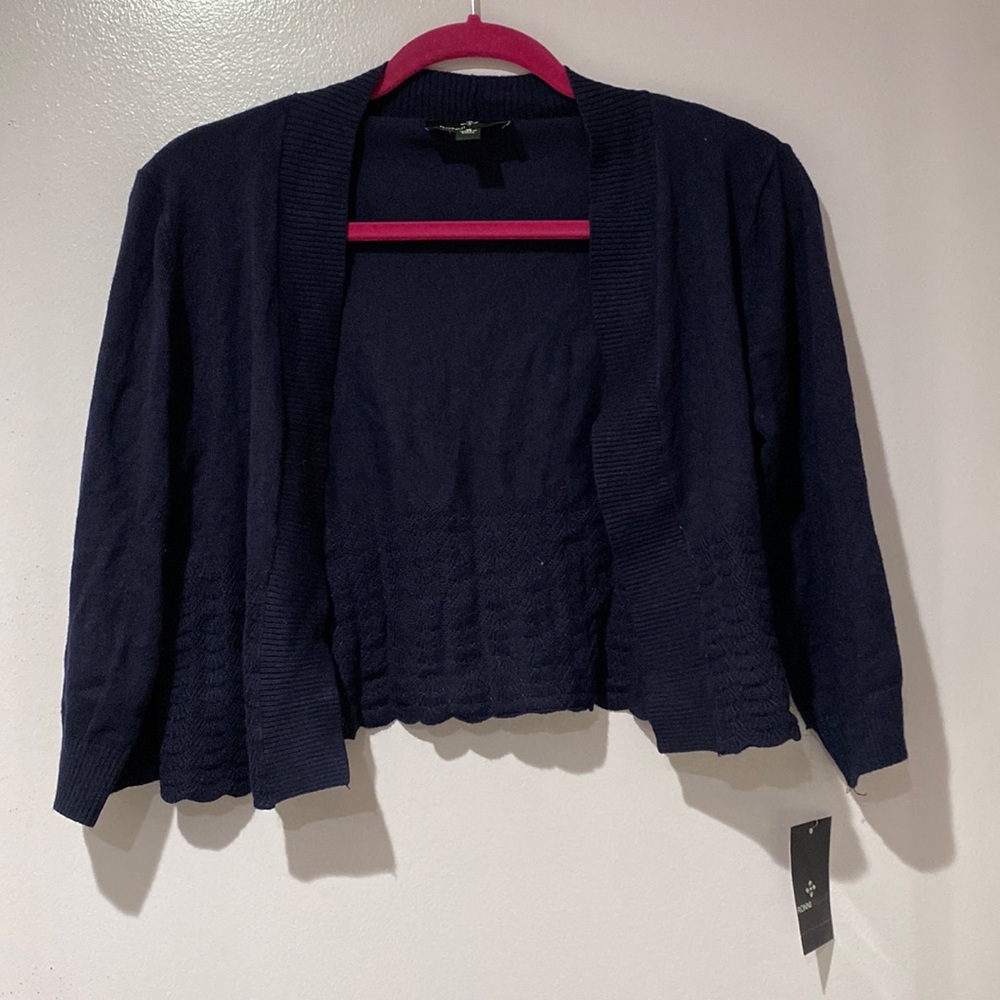 Blue Ronni Nicole Cardigan